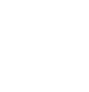 Virginia Department of State Police